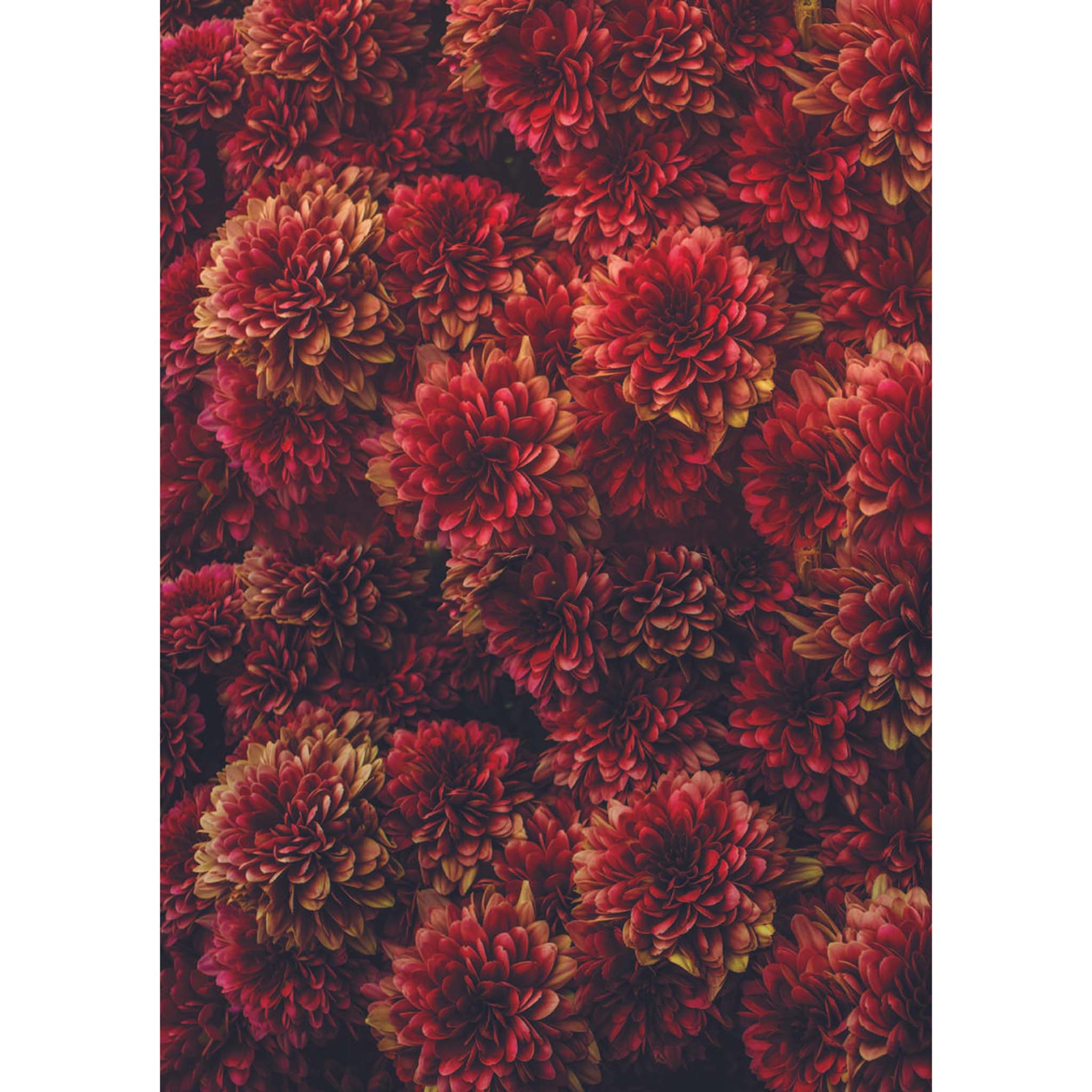 Belles & Whistles - Moody Mums Decoupage Paper (A1 Size) - Image 3