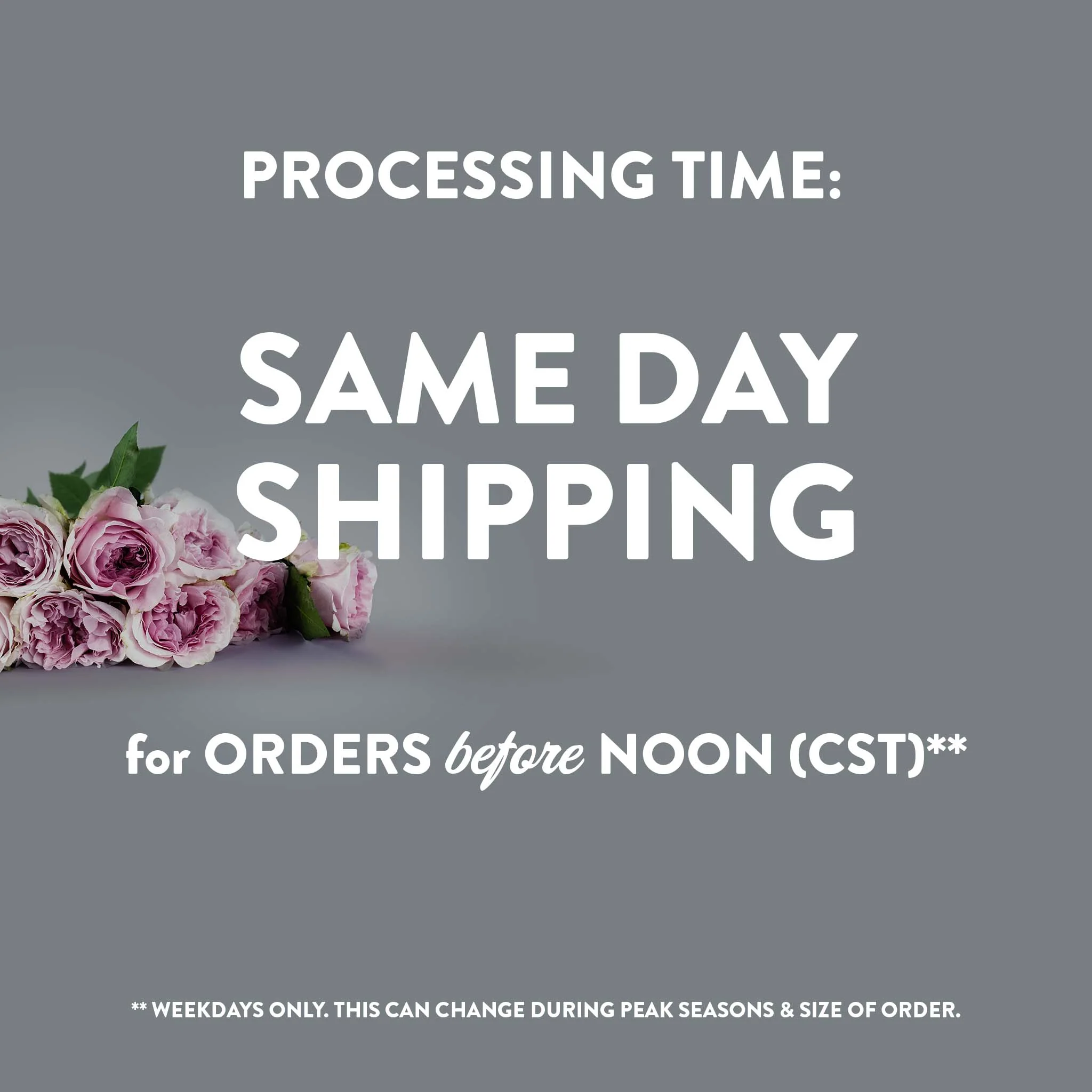 Sanding Sponge - Image 5